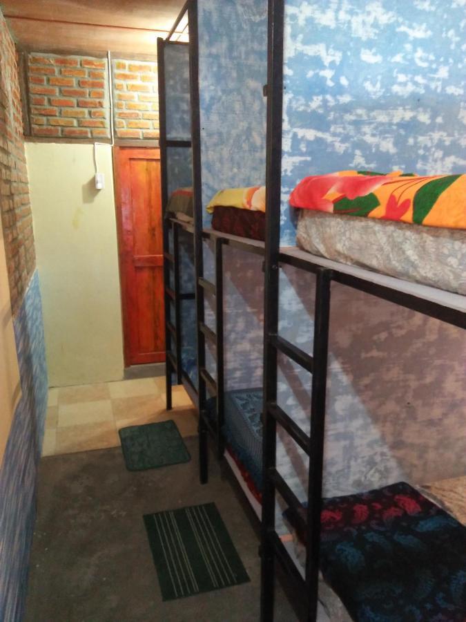 Salty Dog Hostel Telukdalem Buitenkant foto