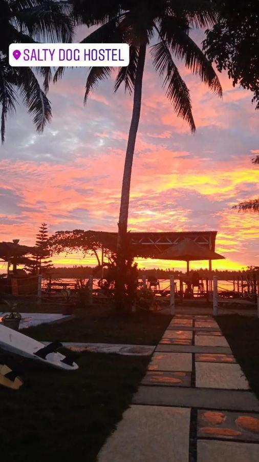 Salty Dog Hostel Telukdalem Buitenkant foto