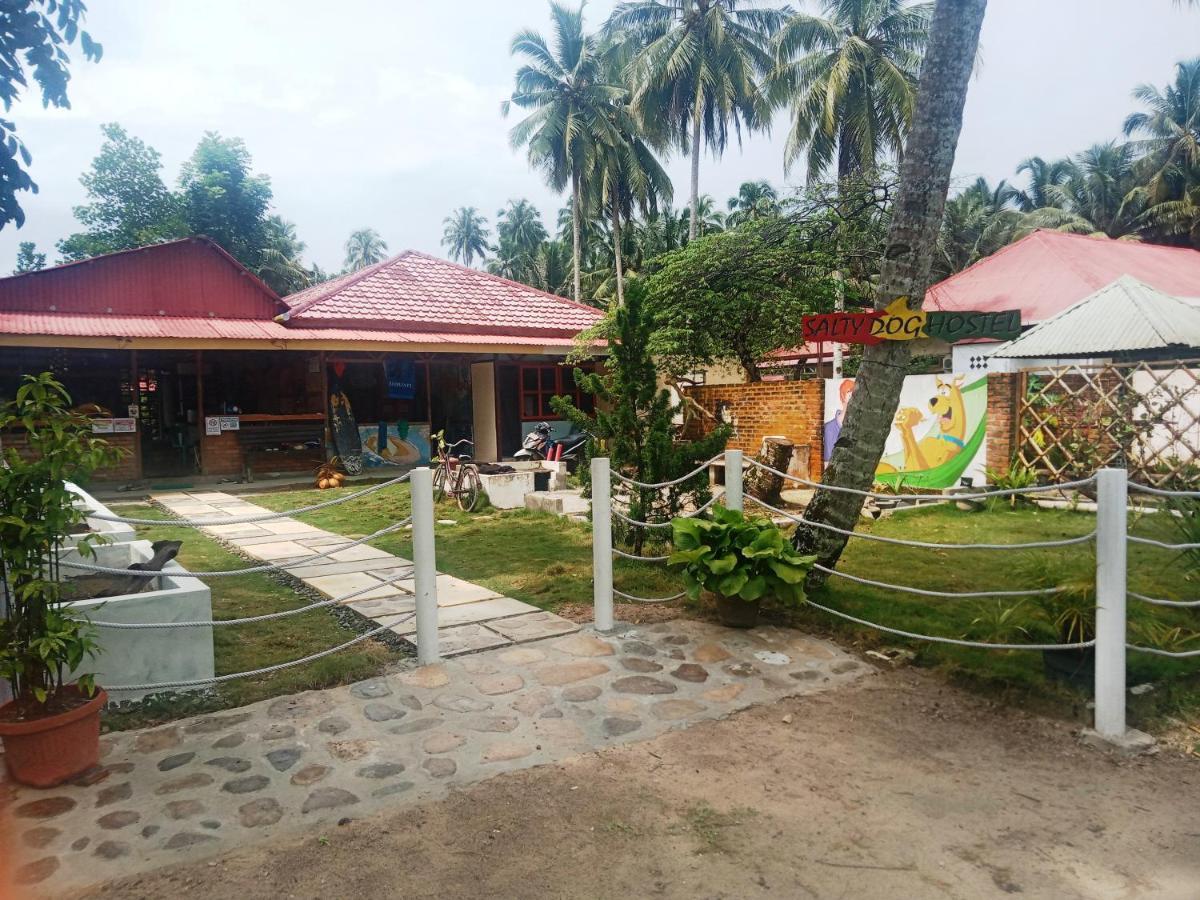 Salty Dog Hostel Telukdalem Buitenkant foto