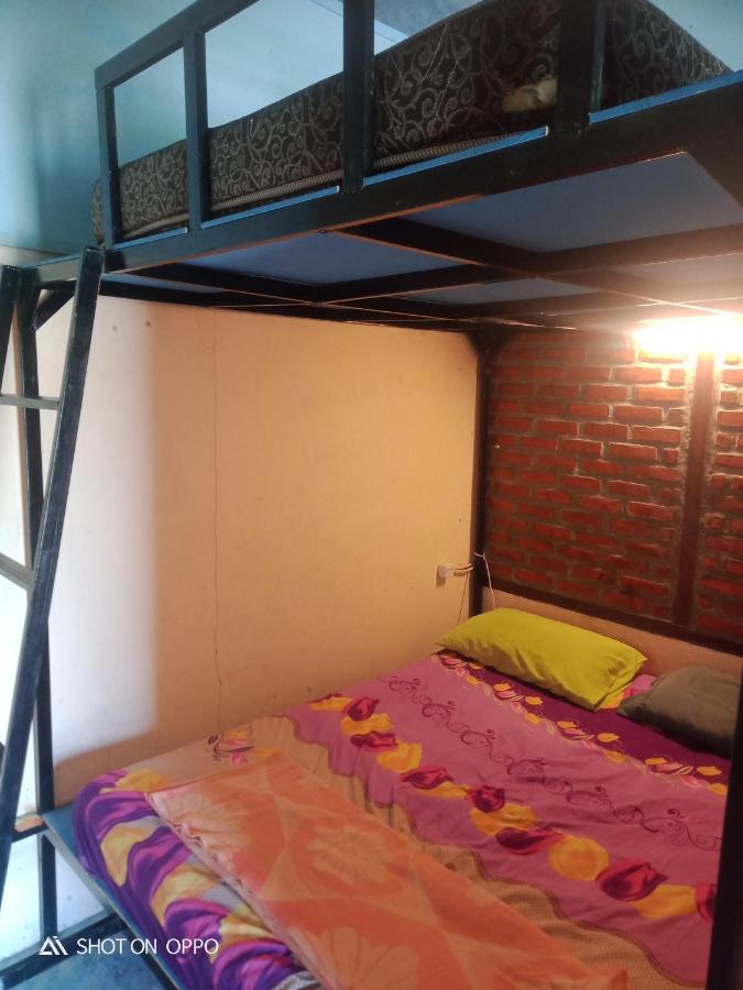 Salty Dog Hostel Telukdalem Buitenkant foto